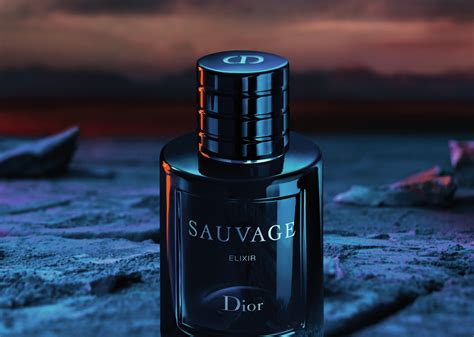 what smells like dior sauvage|aftershave like dior sauvage.